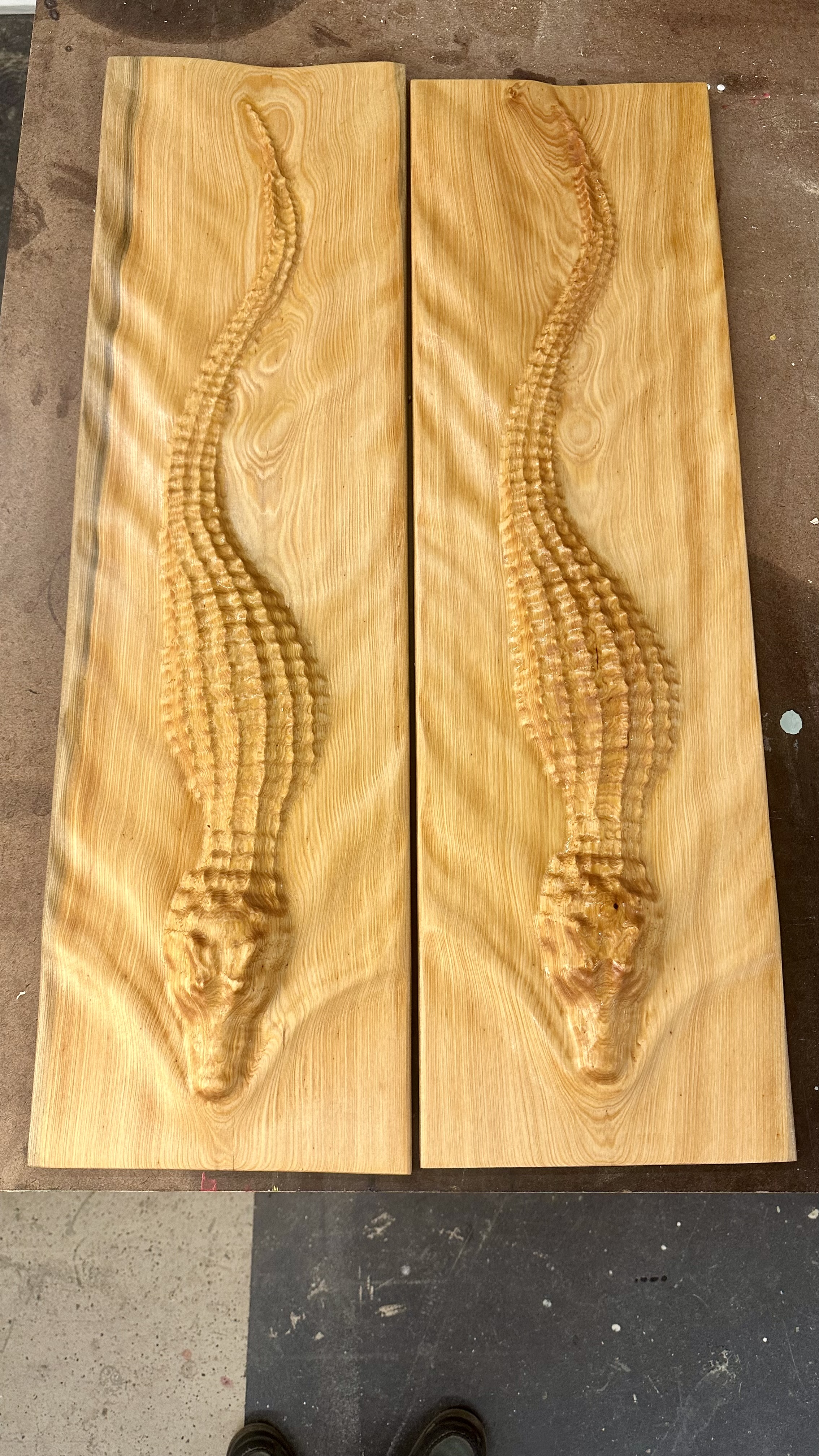 The Gator Collection Boards